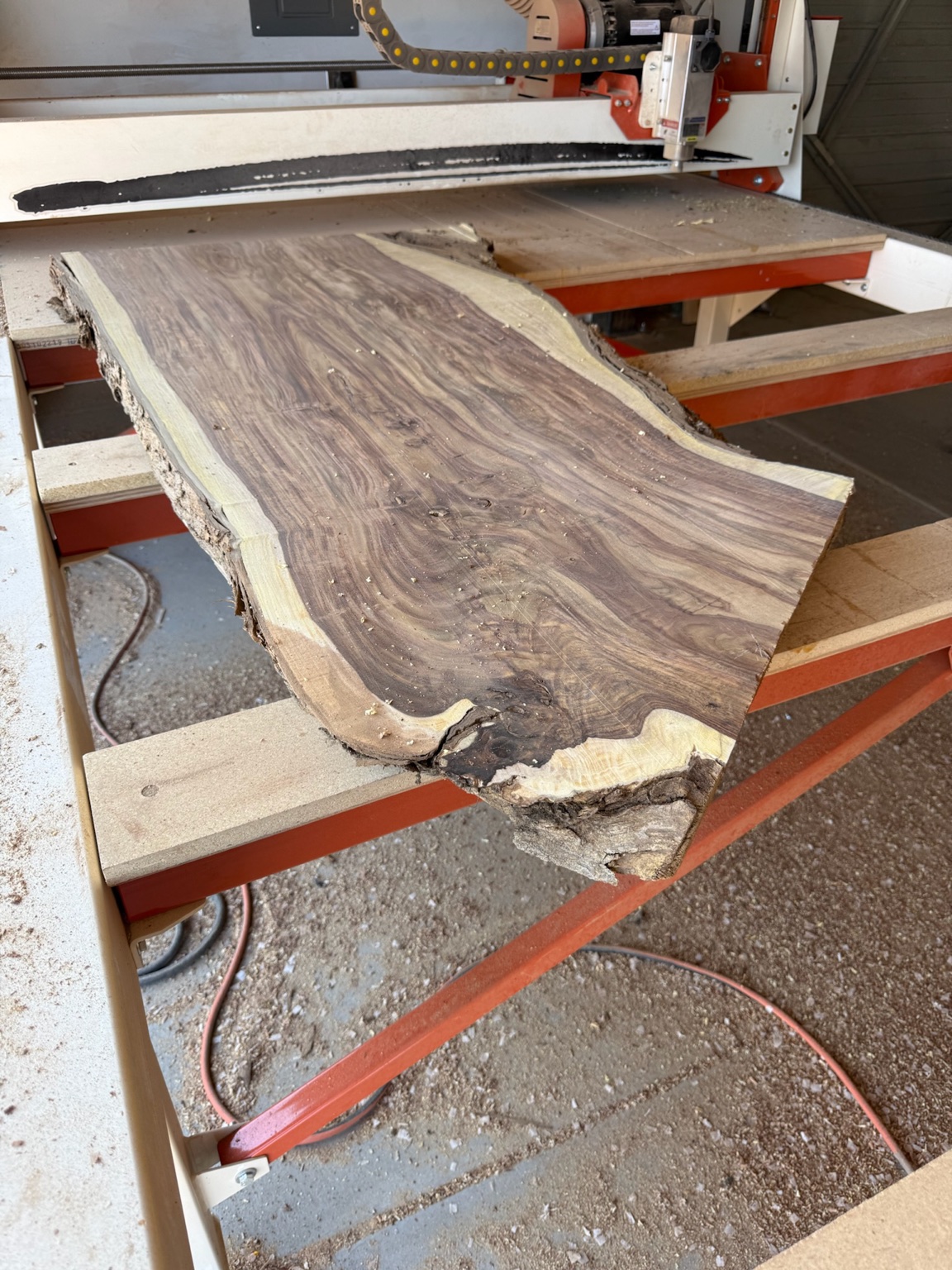A live-edge Arizona walnut slab in the studio